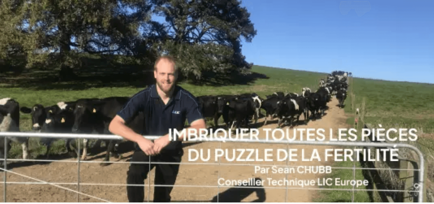 Imbriquer Toutes Les Pièces Du Puzzle De La Fertilité